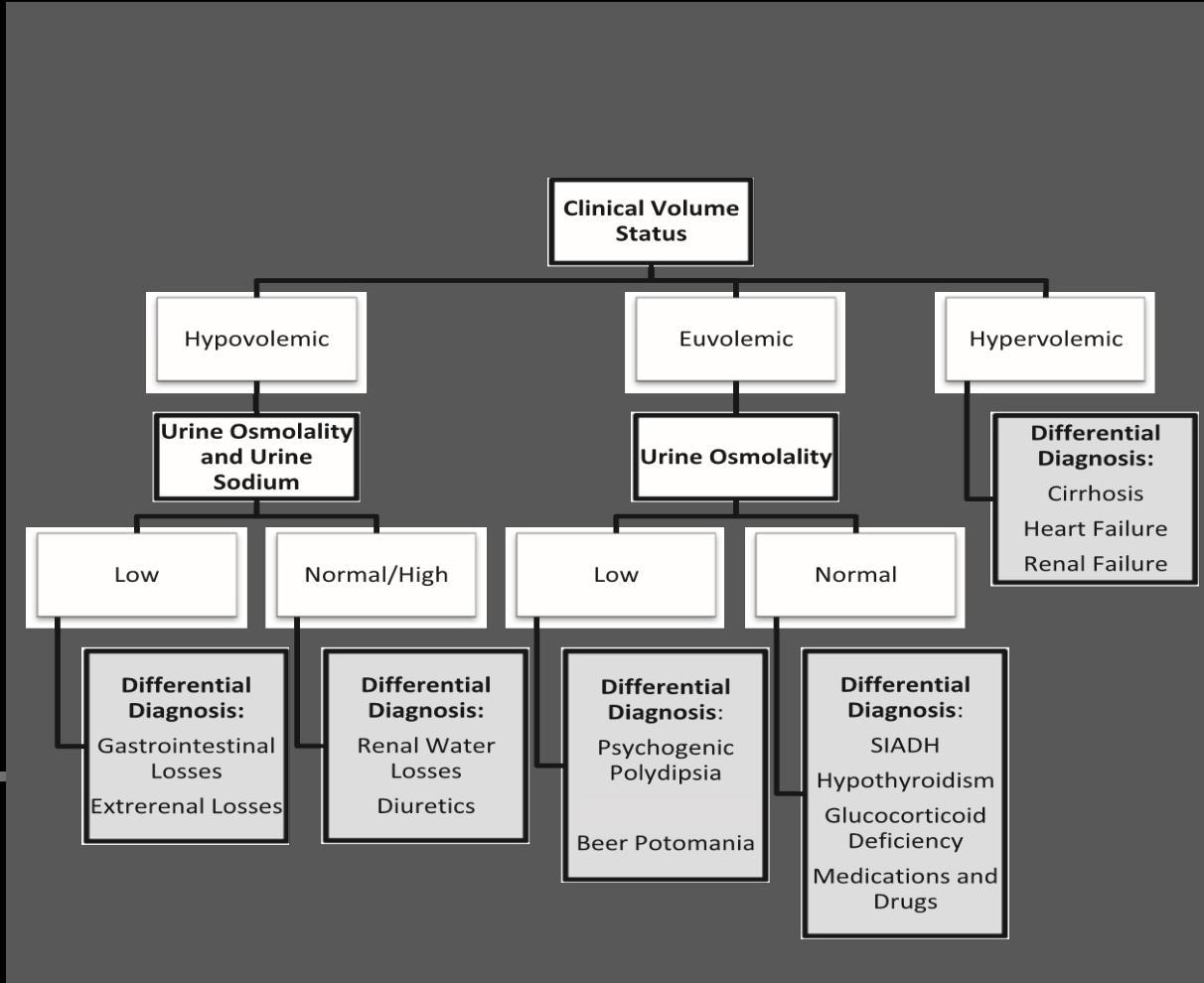 Hyponatremia algorithm or image