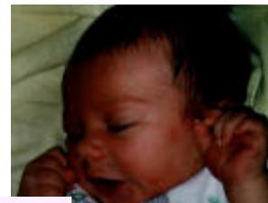 _page_1_Picture_4.jpeg|259x196