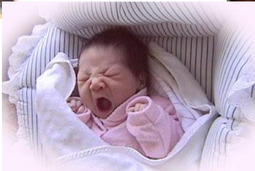 _page_1_Picture_6.jpeg|362x243