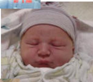 _page_1_Picture_8.jpeg|257x225