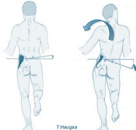 Normal vs Positive comparison