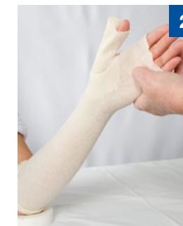 _page_1_Picture_31.webp|196x243