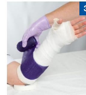 _page_1_Picture_32.webp|183x202