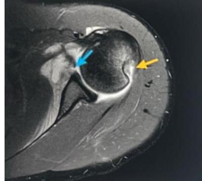 _page_15_Picture_2.webp|263x235