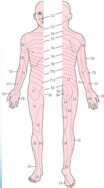 Neurological examination