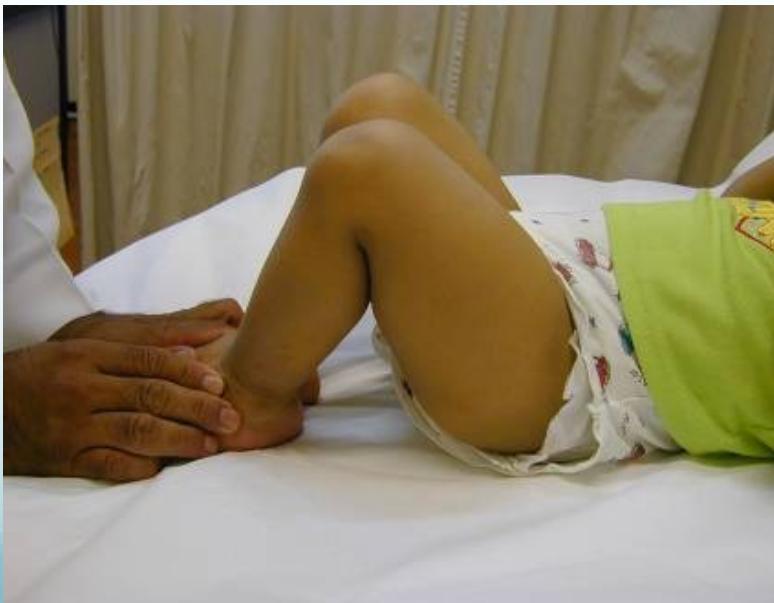 _page_16_Picture_2.jpeg|234x182