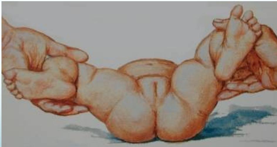 _page_17_Picture_3.jpeg|0x0