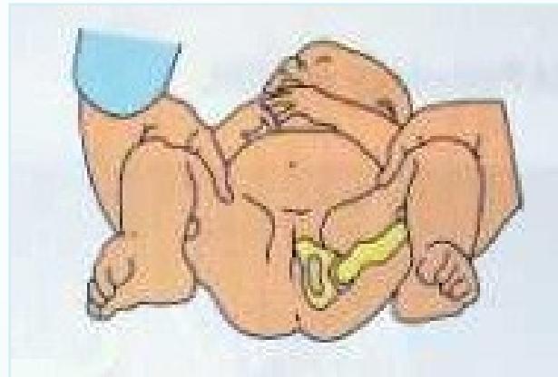 _page_20_Picture_4.jpeg|266x180