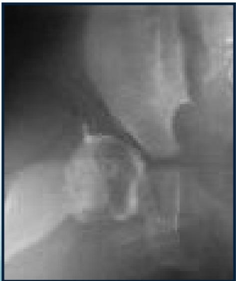 _page_40_Picture_2.jpeg|231x275