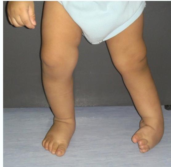 _page_52_Picture_7.jpeg|159x155