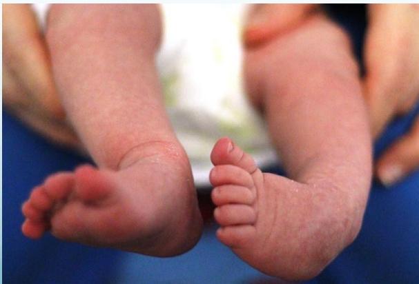 _page_52_Picture_8.jpeg|229x155