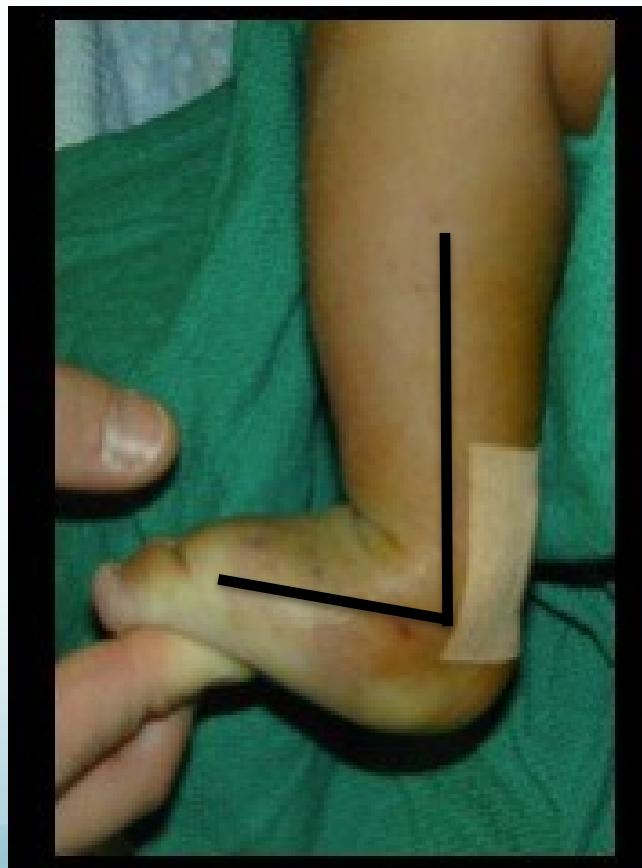 _page_59_Picture_4.jpeg|239x323