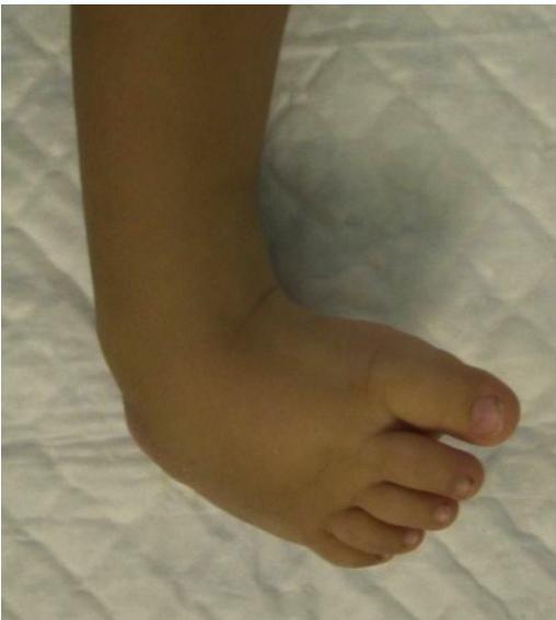 _page_68_Picture_1.jpeg|240x268