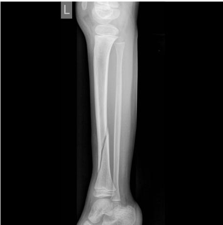 _page_3_Picture_2.jpeg|315x318