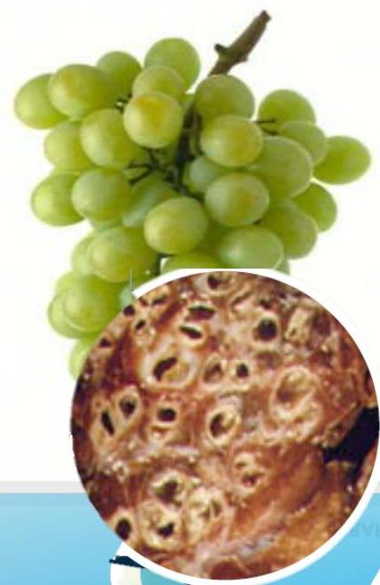 img-17.jpeg