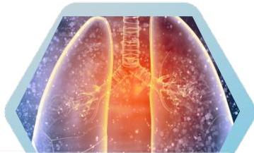 img-25.jpeg