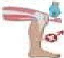 img-3.jpeg