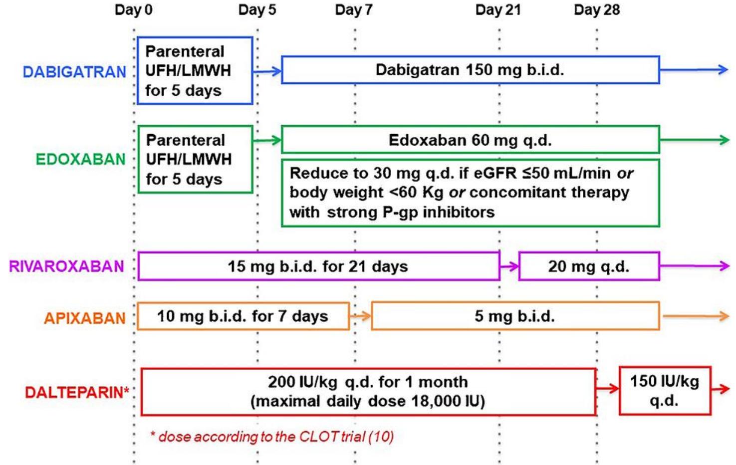 Anticoagulation initiation timeline