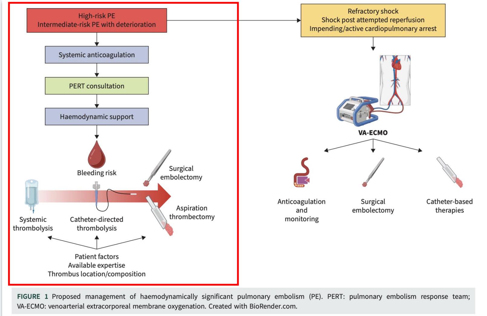 PERT high-risk treatment pathway