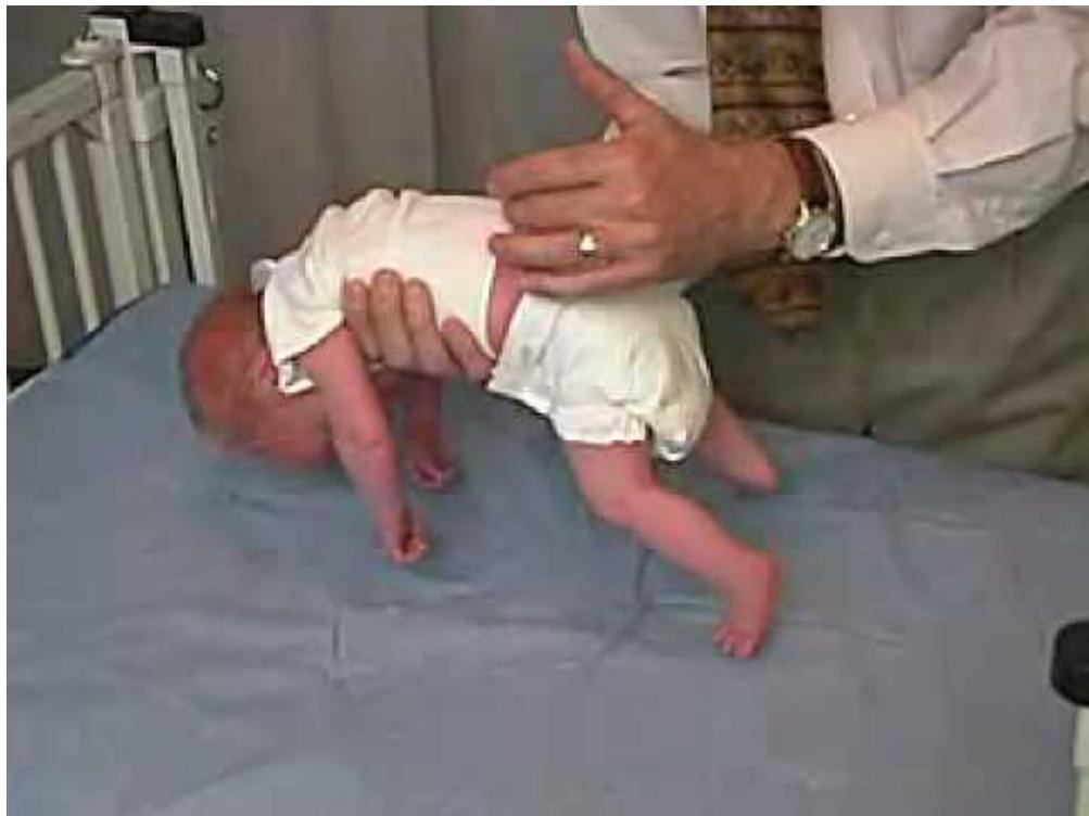 img-111.jpeg|340x255