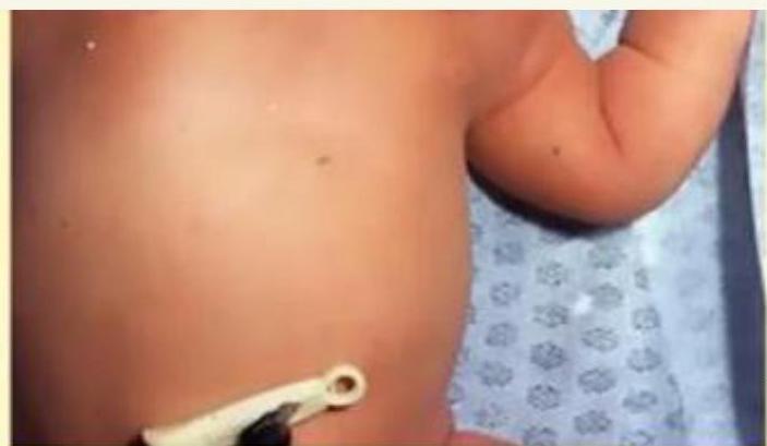 img-137.jpeg|278x161