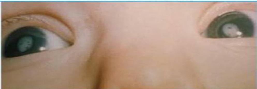 img-146.jpeg|399x139