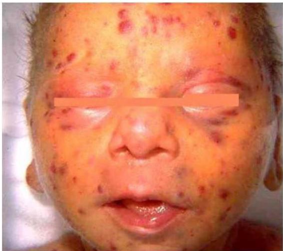 img-191.jpeg|343x305