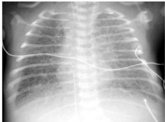 img-198.jpeg|330x244