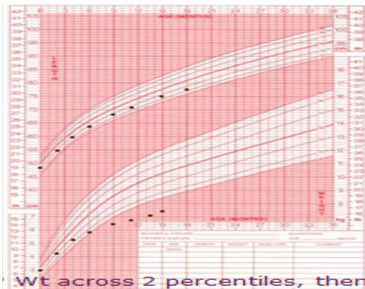 img-203.jpeg|409x324