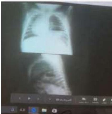 img-229.jpeg|343x434