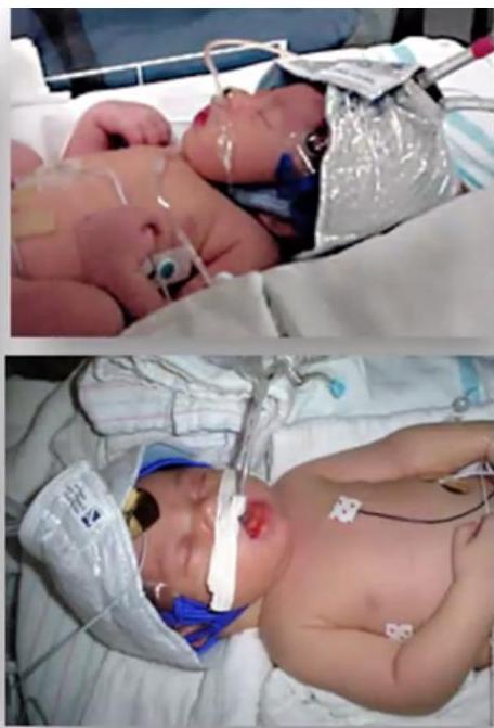 img-284.jpeg|165x243