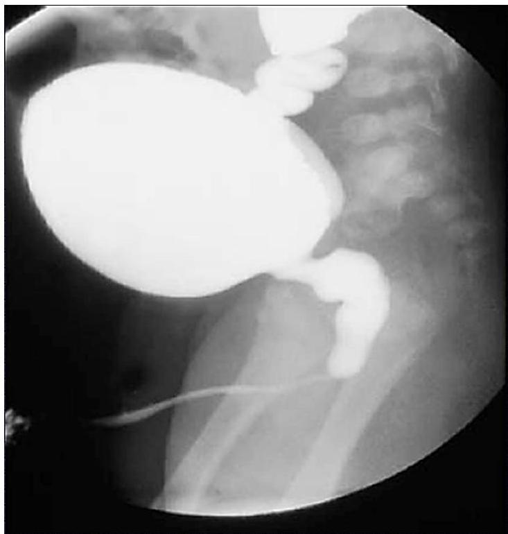 img-293.jpeg|304x319