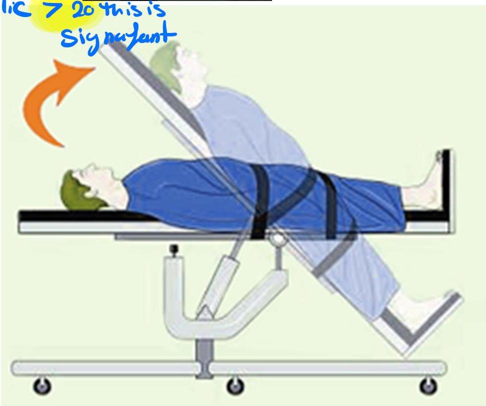 img-306.jpeg|344x287