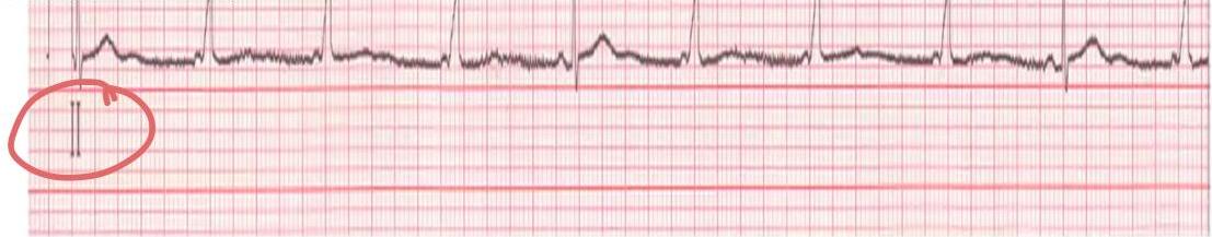 img-309.jpeg|585x115