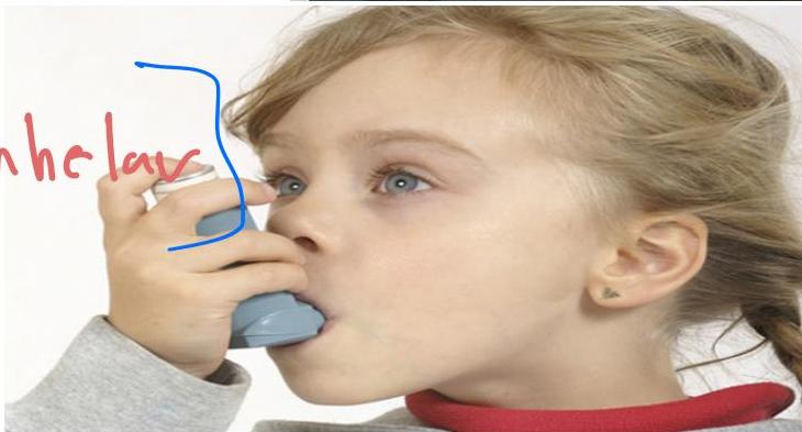 img-342.jpeg|305x377