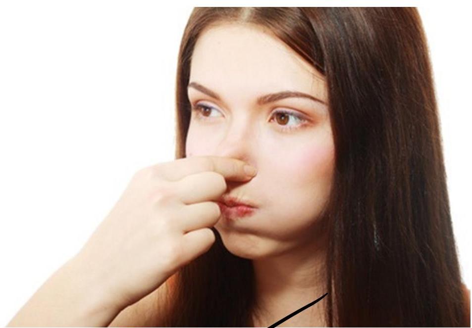 img-377.jpeg|409x285