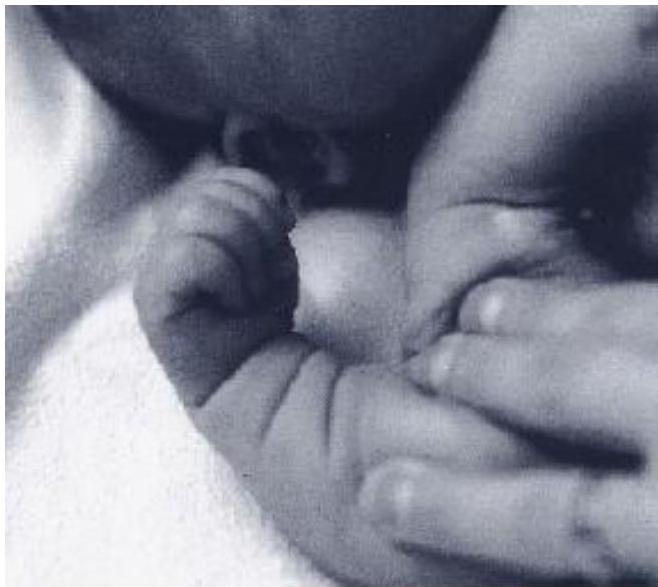 img-398.jpeg|354x316