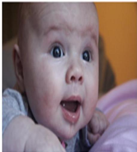 img-404.jpeg|293x325