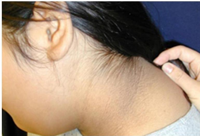 img-405.jpeg|342x233