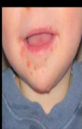 img-431.jpeg|273x309