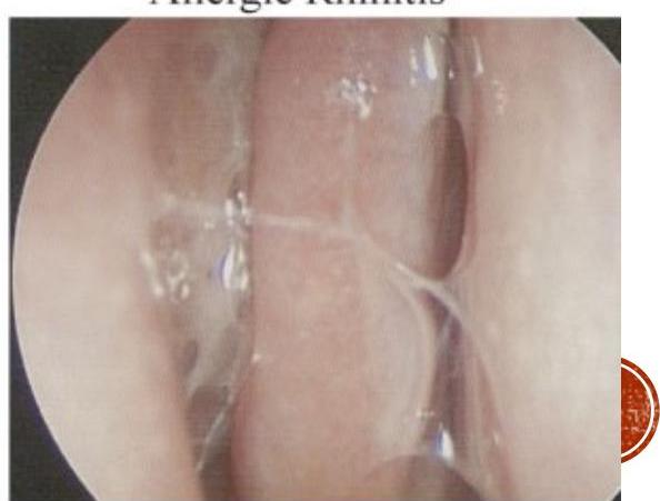 img-26.jpeg|182x138