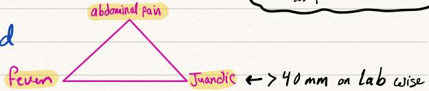 Charcot's Triad Diagram