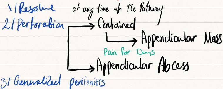 Natural History and Fate of Acute Appendicitis Diagram
