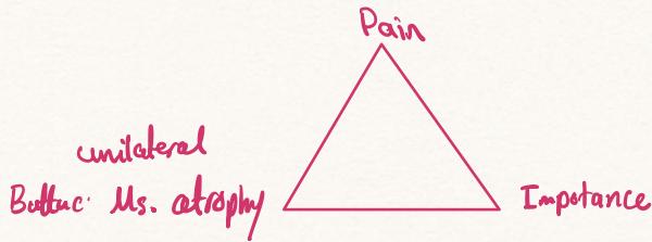 Leriche Syndrome Triangle