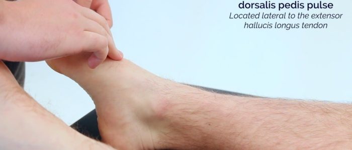 Dorsalis pedis pulse