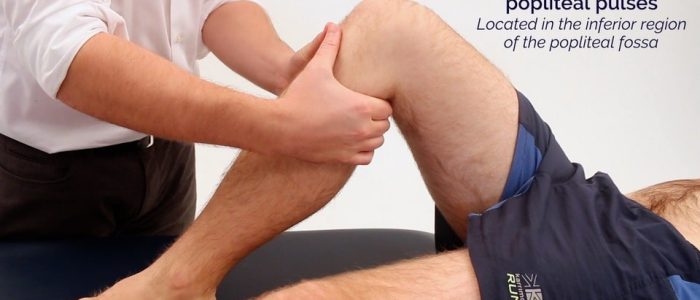 Popliteal pulse