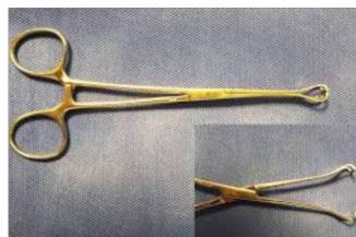Babcock forceps