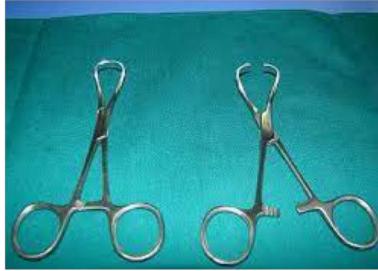 Towel clips