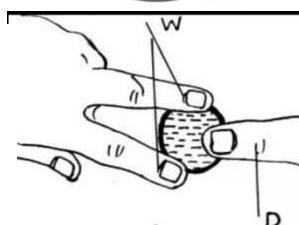 AAA palpation