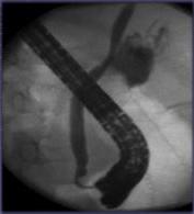 img-13.jpeg